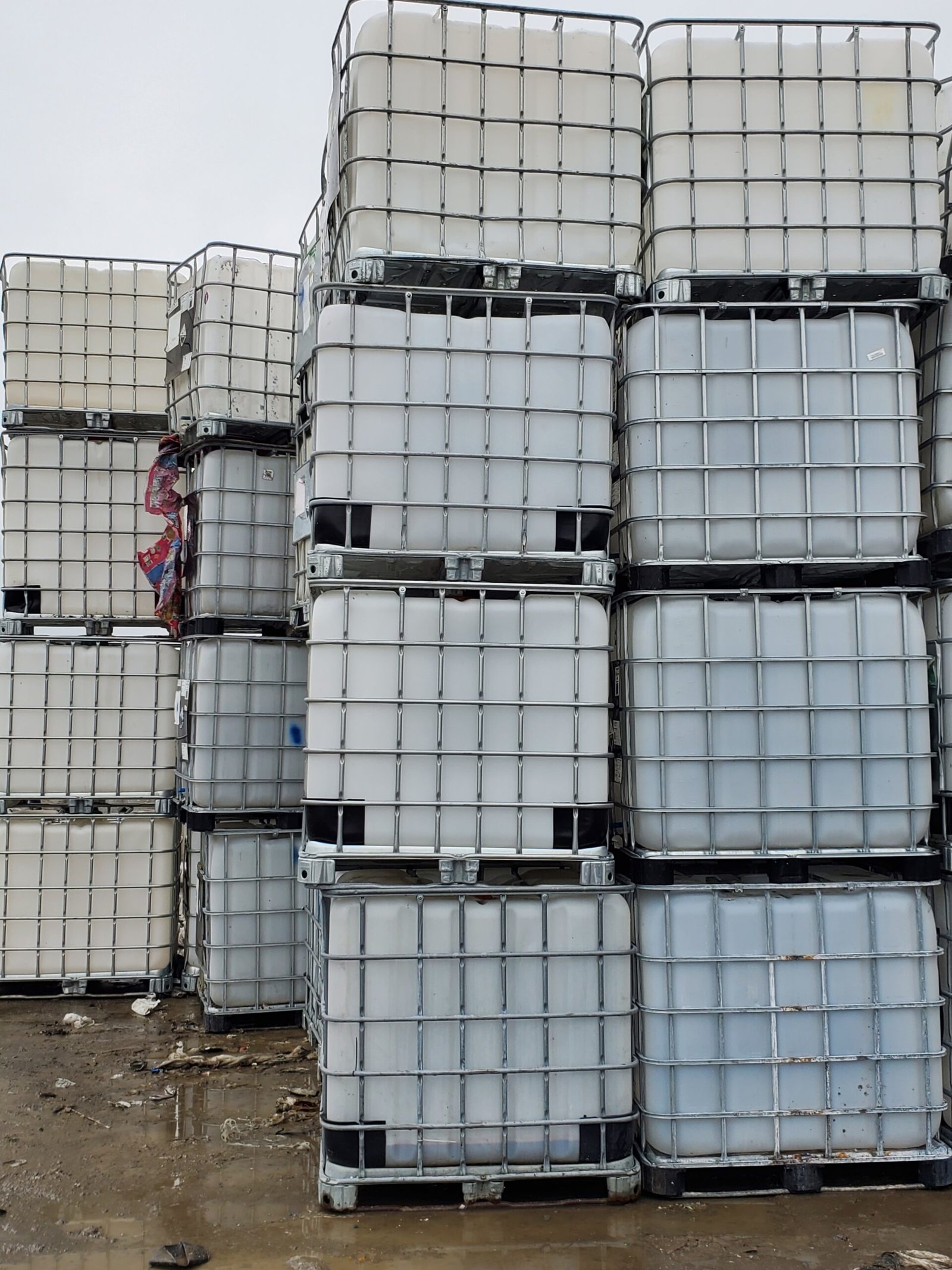 275 and 330 gallon white caged IBC totes wholesale